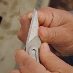 切り接ぎのやり方…時期と揃える道具
