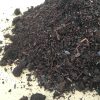 有機土壌のメリット・デメリット