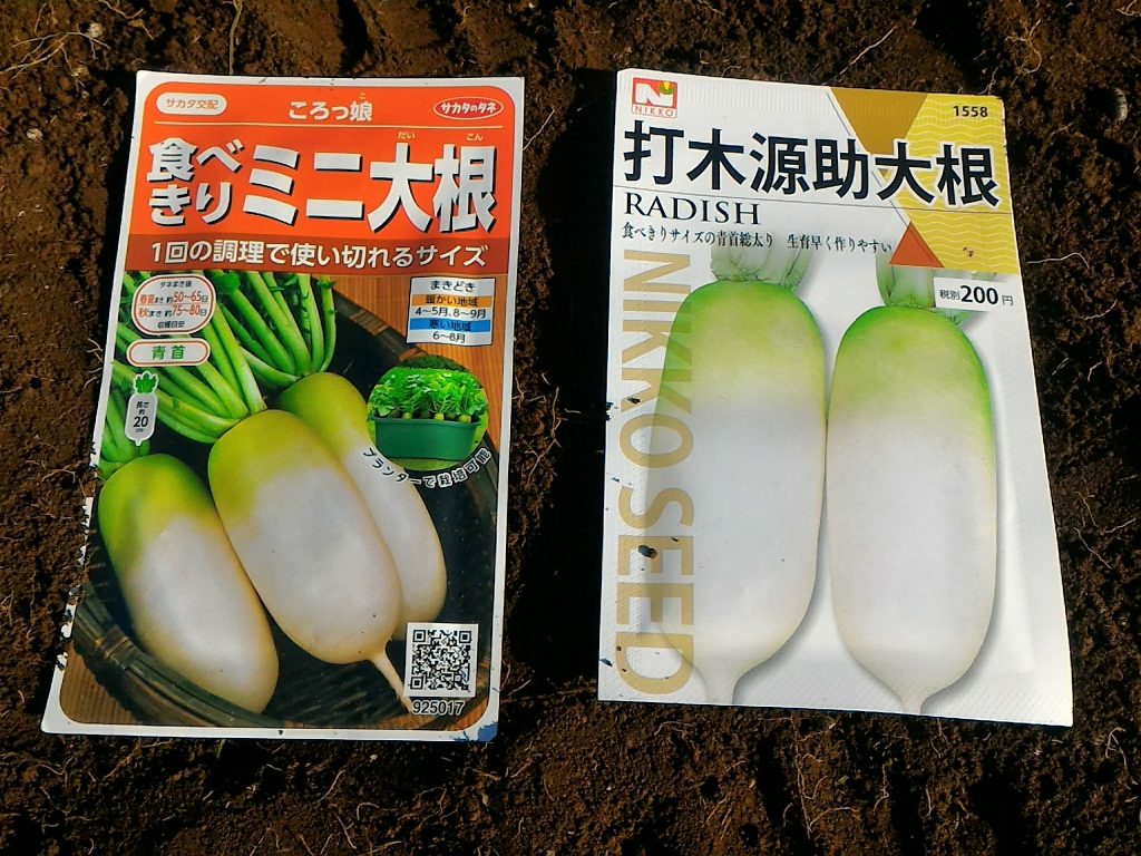 ミニ大根 収穫 無農薬で美味しい野菜を作りたい