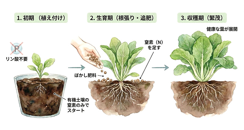 「窒素」や「リン酸」の施肥コントロールは恐ろしいほど簡単です！