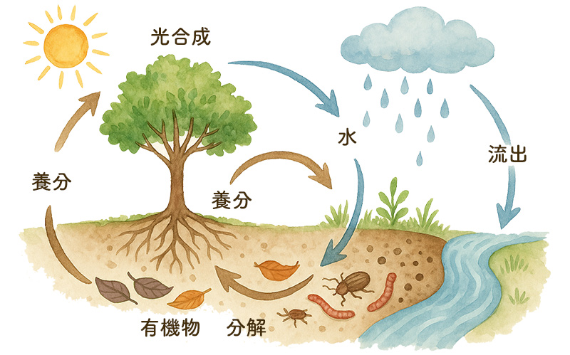 循環サイクルと循環パワーとは