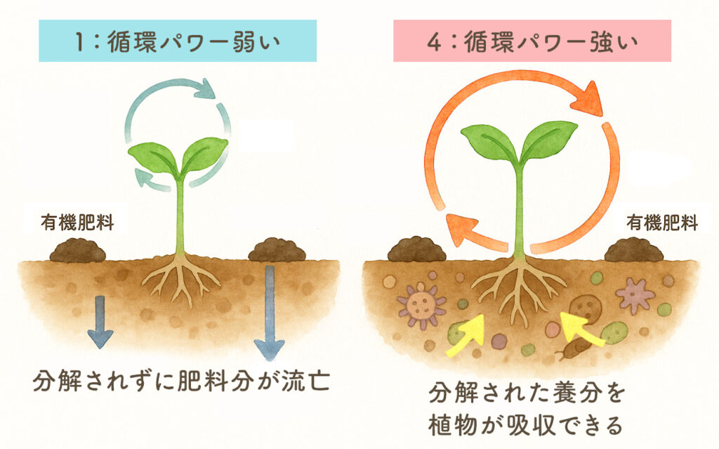 循環サイクルの大きい小さいは有機堆肥の割合で決まります