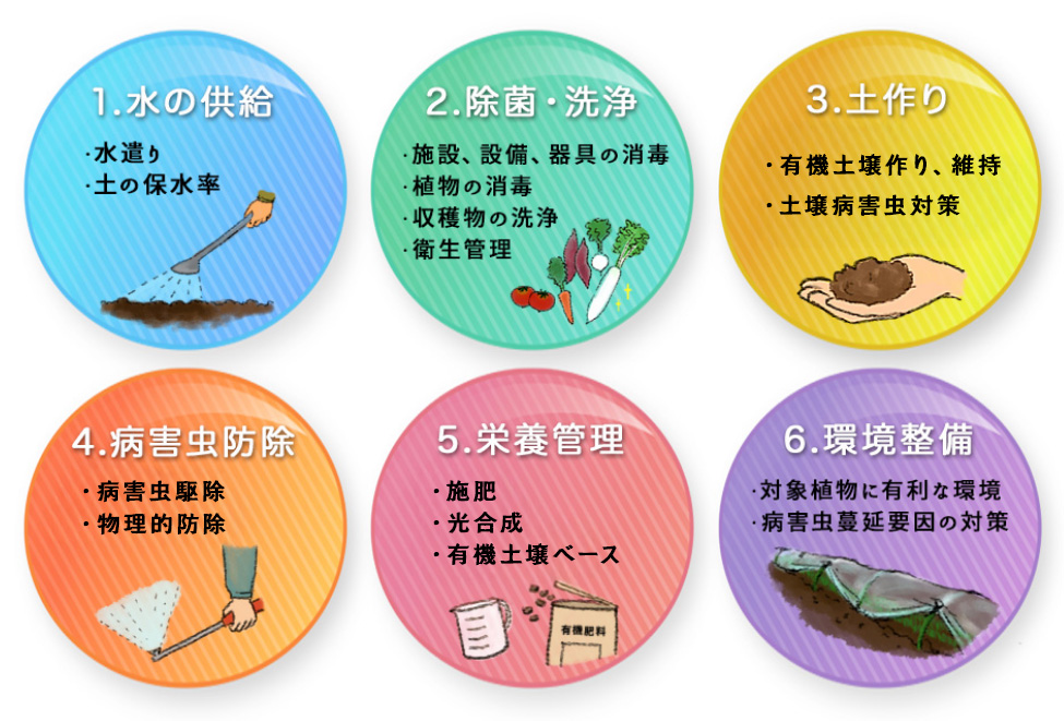 有機土壌をベースに肥料を足していく有機栽培をもう少し説明します