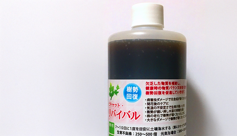 リバイバル（有機土壌の素）の正しい知識と使い方を解説します