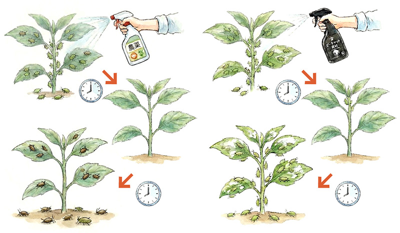 農薬は「殺す」、ピキャットクリアは「除く」の大きな違いを解説