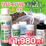 1回限定お得なお試しセット 1回限定お得なお試しセット