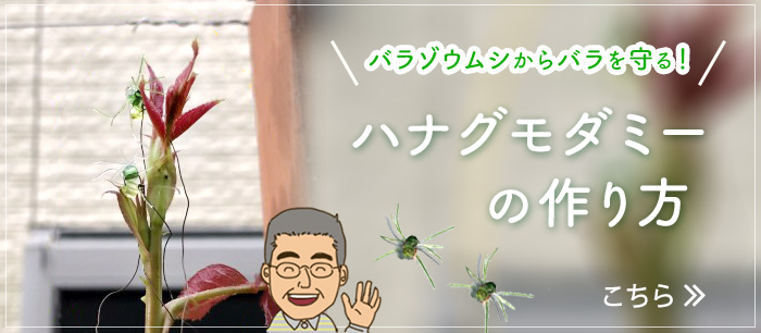 ハナグモダミーの作り方