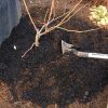 有機栽培の土の作り方　堆肥・微生物資材