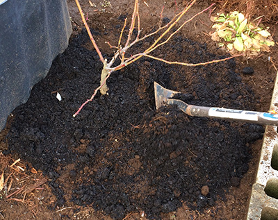 堆肥・微生物資材　有機栽培の土の作り方