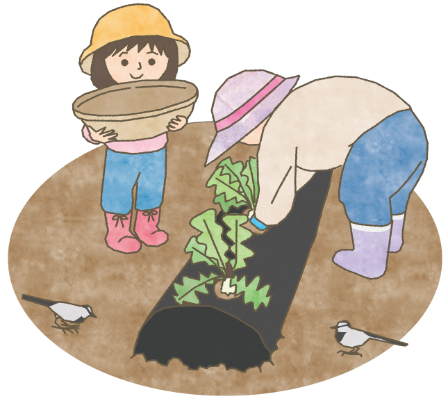 有機土壌で栽培することが有機栽培
