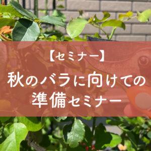 秋のバラに向けての準備セミナー