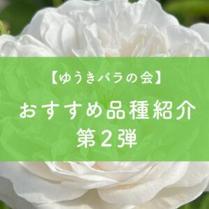 ゆうきバラの会「新苗おすすめ品種紹介＜第２弾＞」