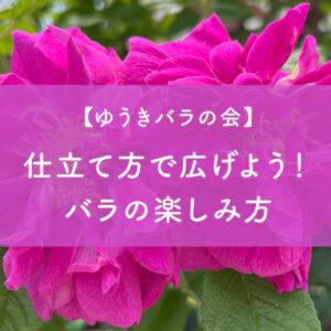 仕立て方で広げよう！バラの楽しみ方