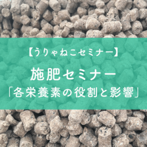 施肥セミナー「各栄養素の役割と影響」