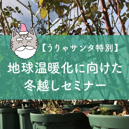 【うりゃサンタ特別】「地球温暖化に向けた冬越しセミナー」