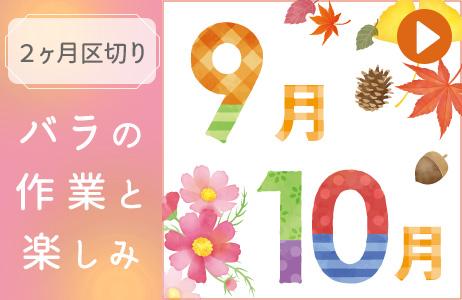 バラの作業と楽しみ９－１０月