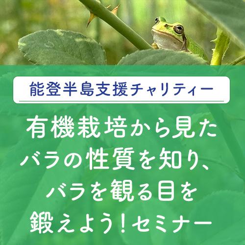 能登半島支援チャリティー「有機栽培から見たバラの性質を知り、バラを観る目を鍛えよう！セミナー」