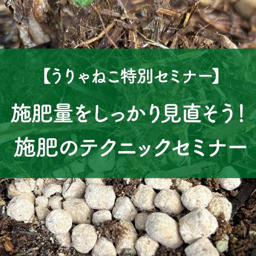 うりゃねこ特別「施肥量をしっかり見直そう！施肥のテクニックセミナー」