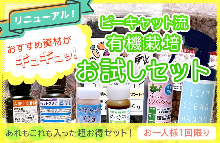 １回限定超お得なお試しセット