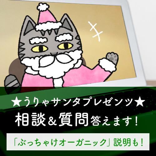 うりゃサンタプレゼンツ【相談&質問答えます!「ぶっちゃけオーガニック」説明も】